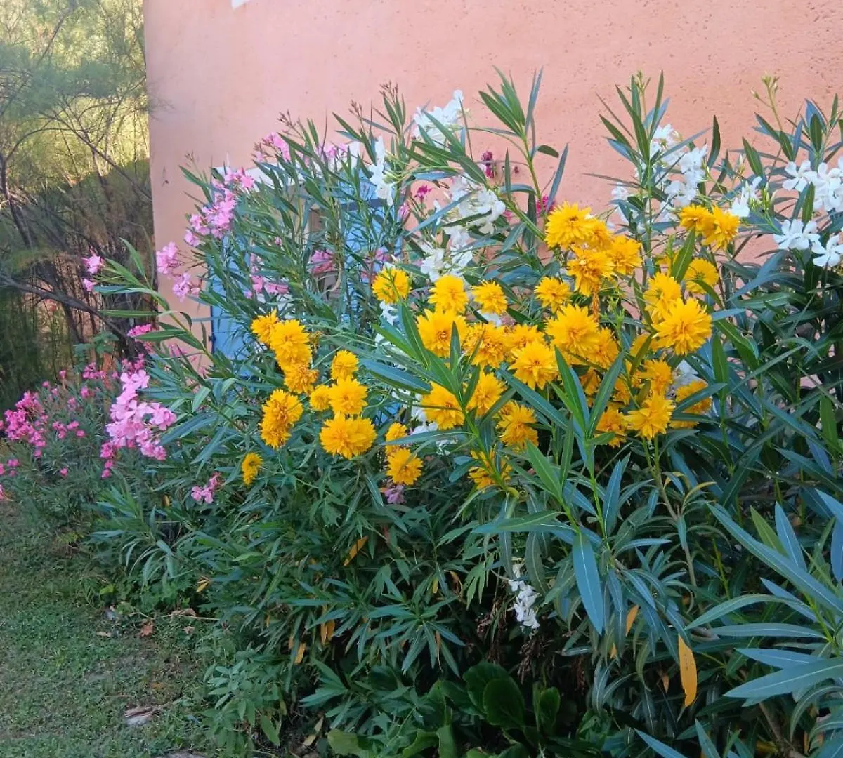 Chambre D'Hotes, A La Nuitee Barret-de-Lioure 0*,
