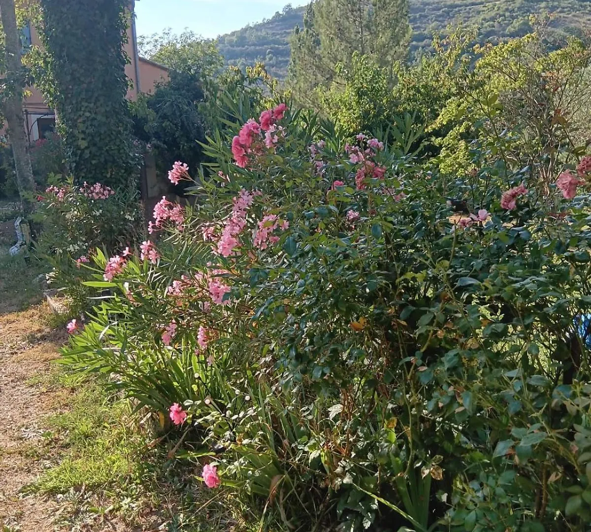 Chambre D'Hotes, A La Nuitee Barret-de-Lioure